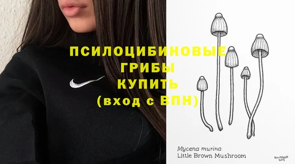 метадон Михайлов