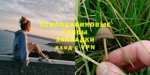 дживик Наволоки