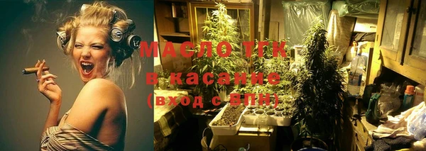 гашик Михайловка