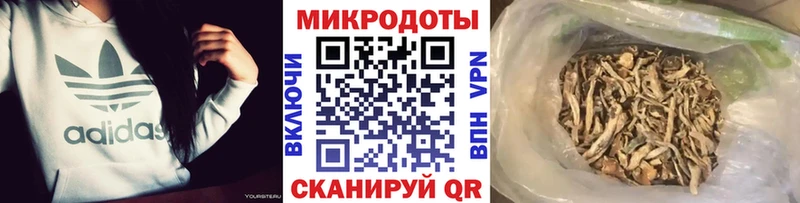 даркнет сайт  Саров  Псилоцибиновые грибы мицелий 