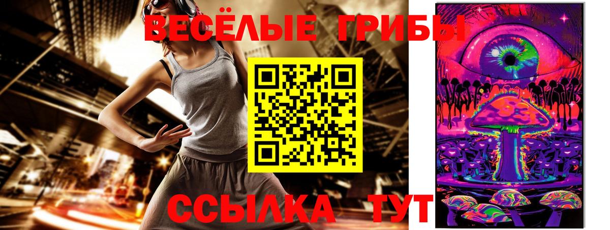 Псилоцибиновые грибы Cubensis  закладки  Саров  Псилоцибиновые грибы Psilocybine cubensis 