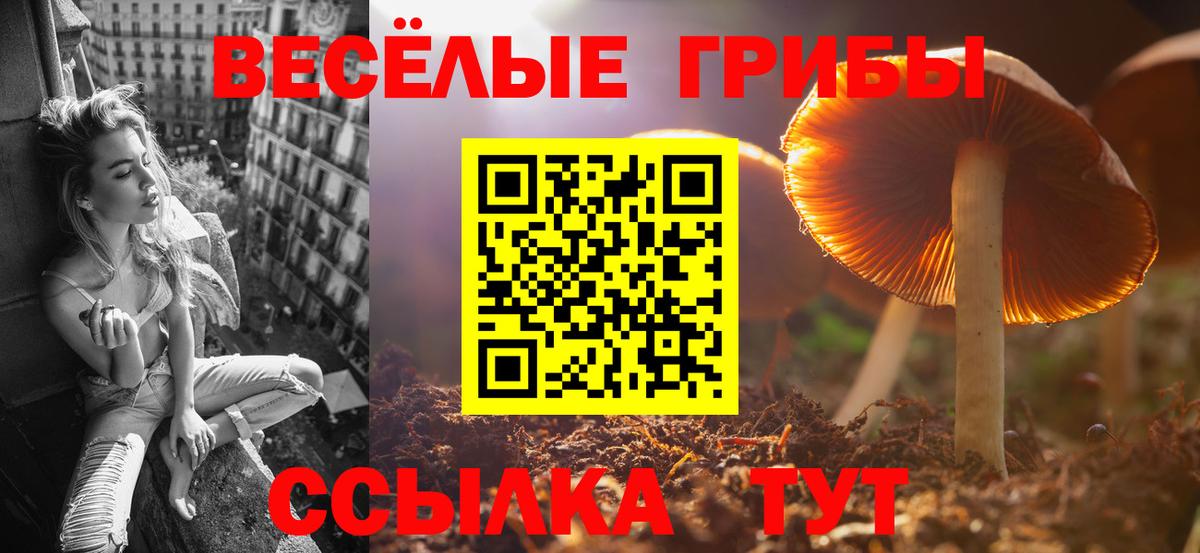 Галлюциногенные грибы Psilocybine cubensis  Вход с VPN  Саров 