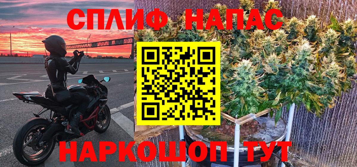 Канабис планчик Саров